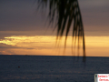 Sunset 4