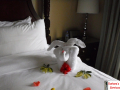 Bed Elephant