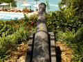 Cannon