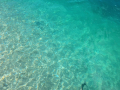 Clear Water