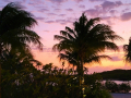 Purple Sunset