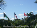 Flags