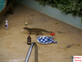 Mongoose 2
