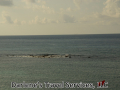 Breakwater