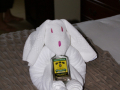 Towel Art