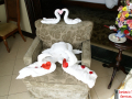 Towel Art