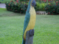 Wood Carving
