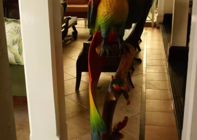 Wooden Parrot